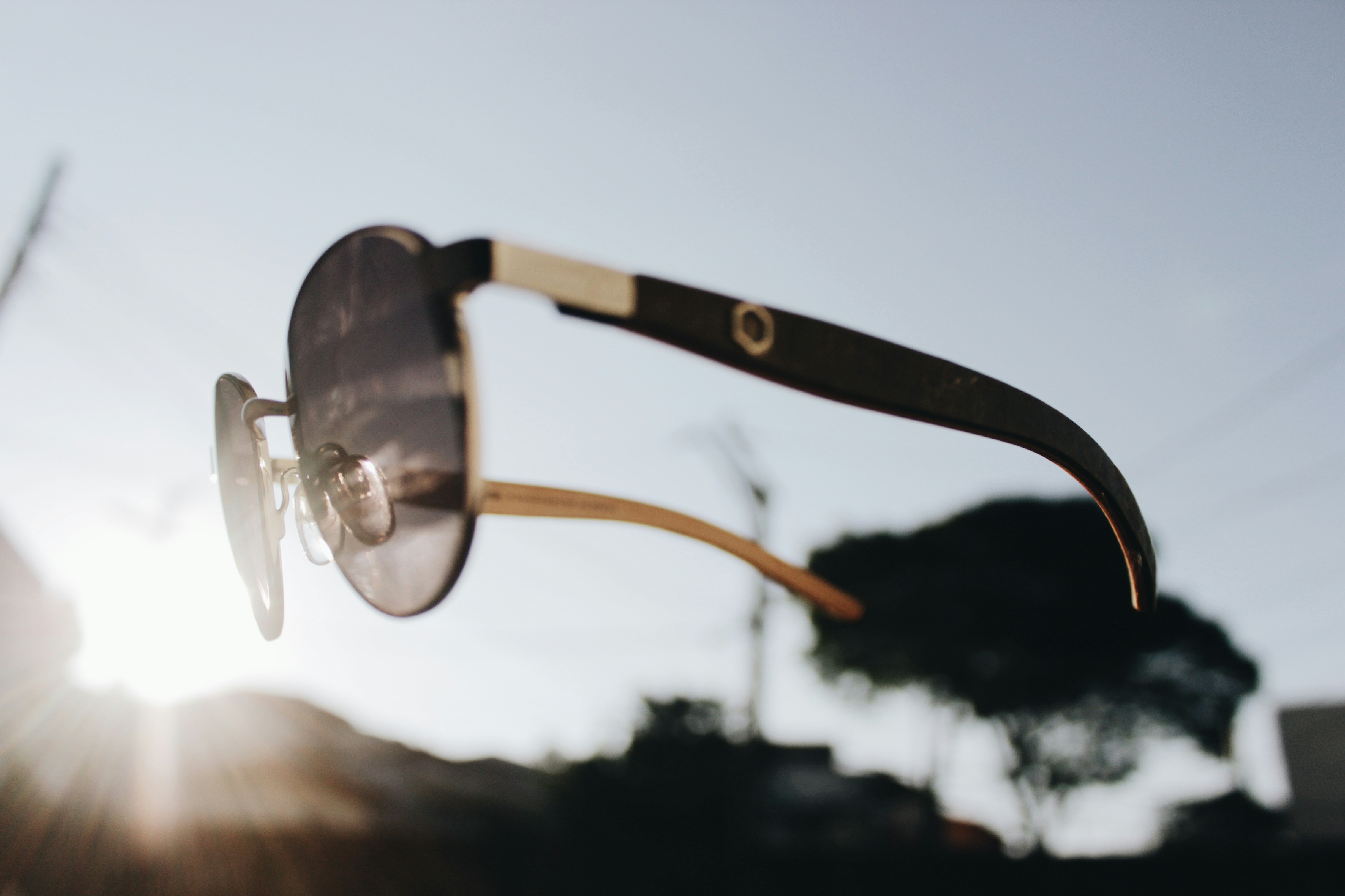 Lucien chic sunglasses with an elegant design
